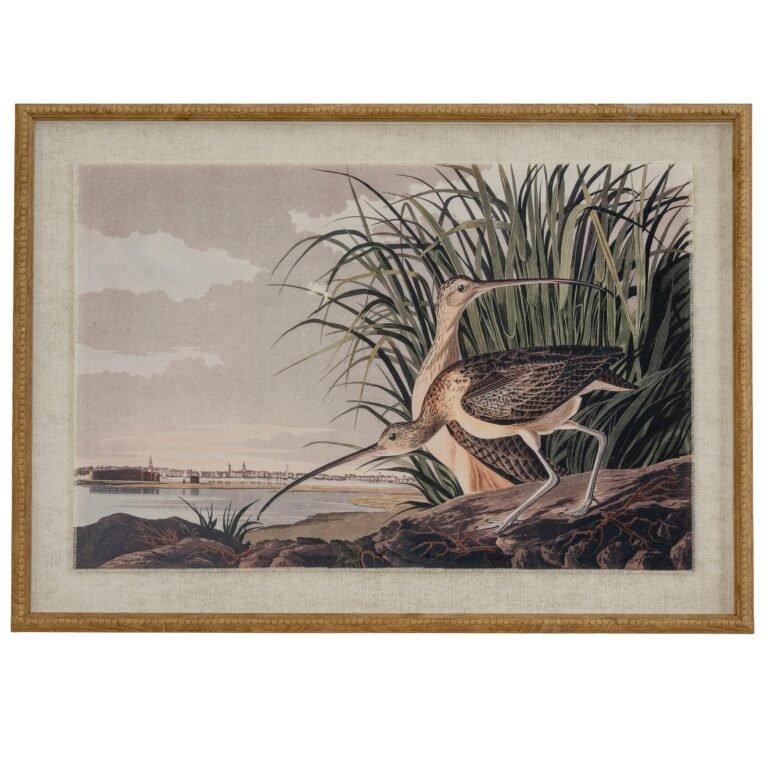 curlews framed bird wall art