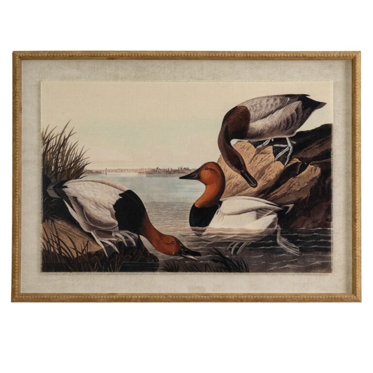 pochards framed bird wall art