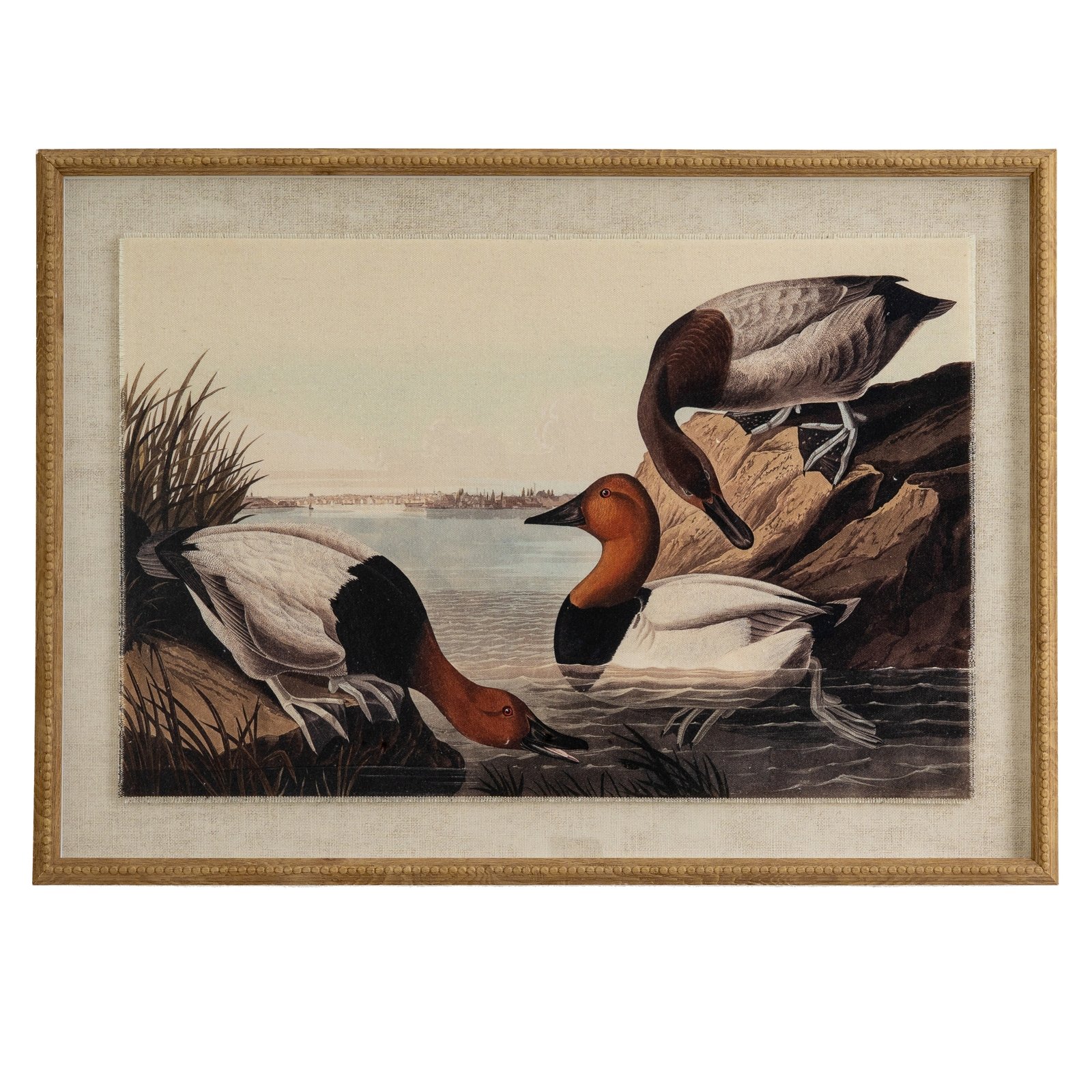 pochards framed bird wall art