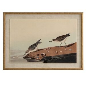 stints framed bird wall art