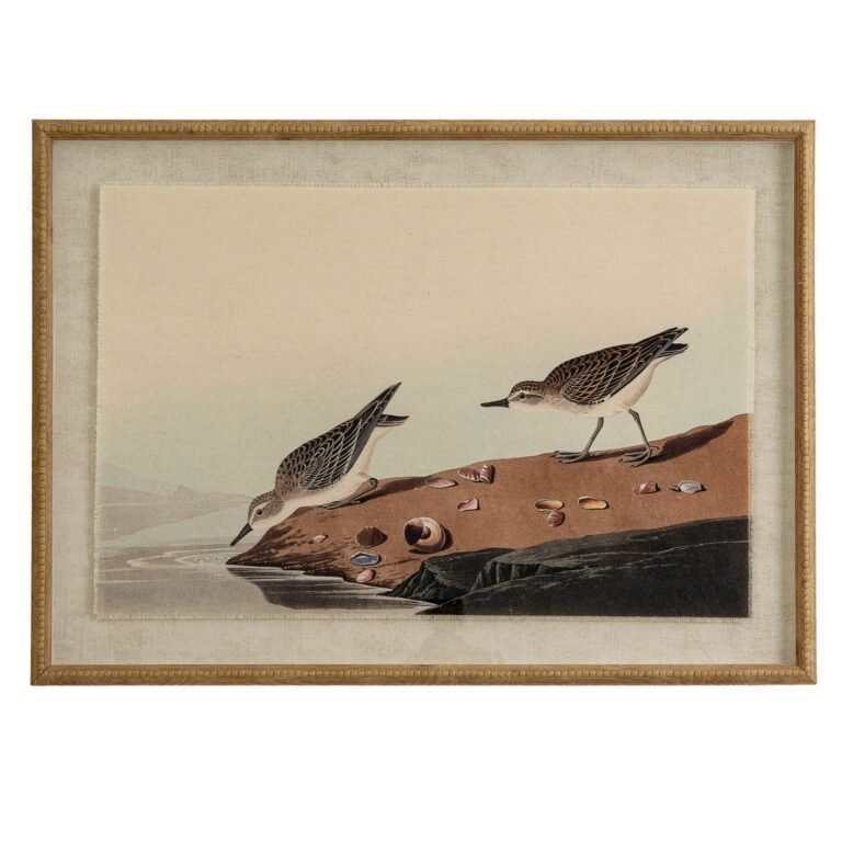 stints framed bird wall art