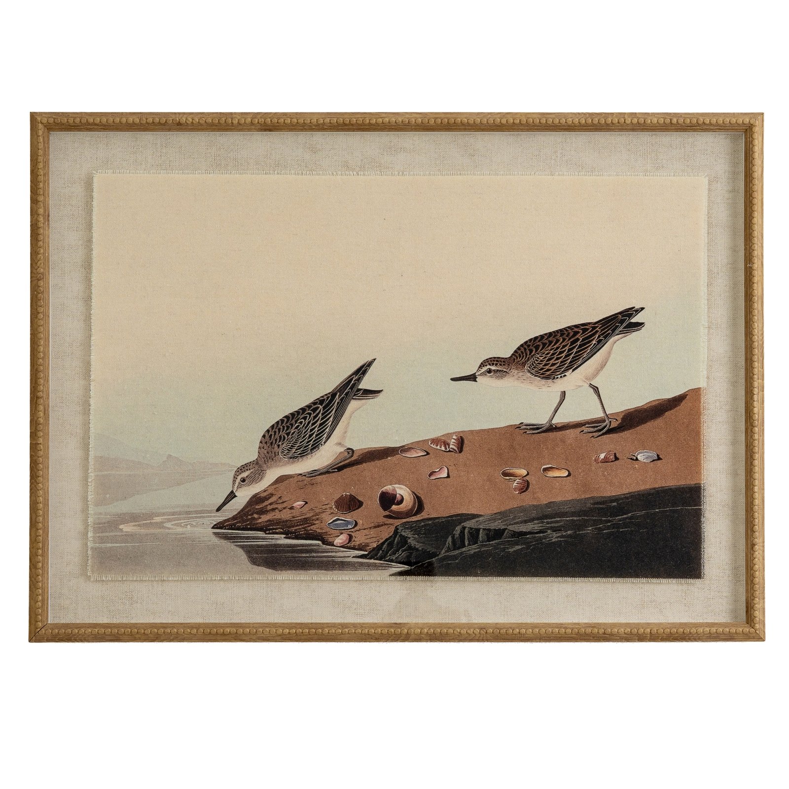 stints framed bird wall art