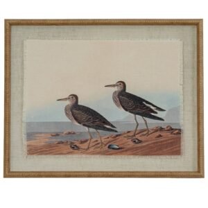 sandpipers framed bird wall art