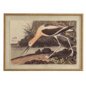 avocet wall art