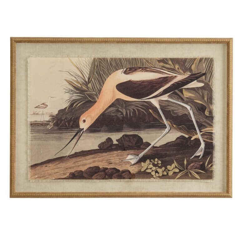 avocet wall art