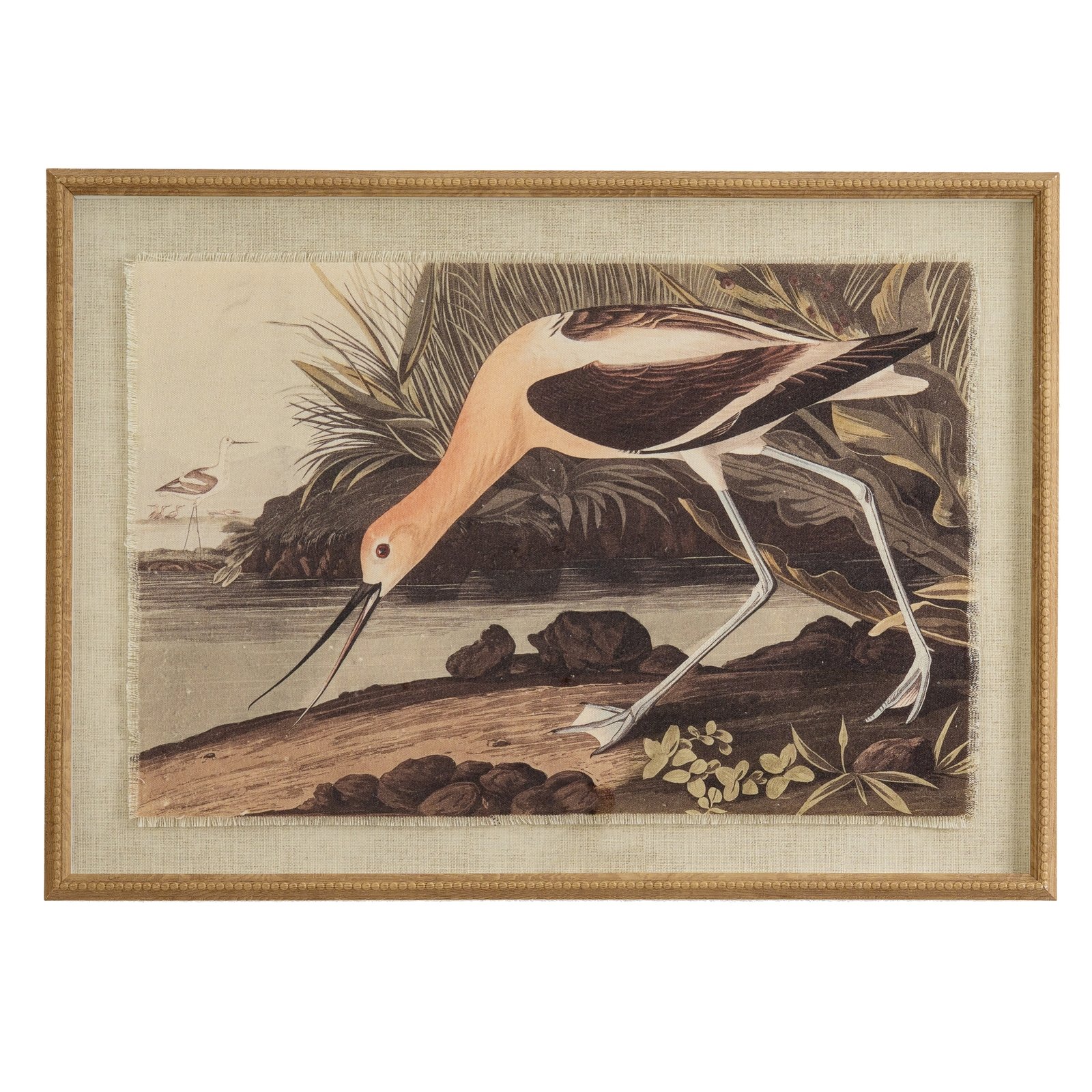 avocet wall art