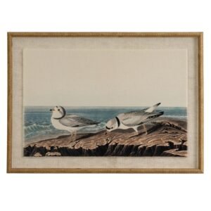 plover wall art