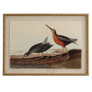 snipe bird wall art