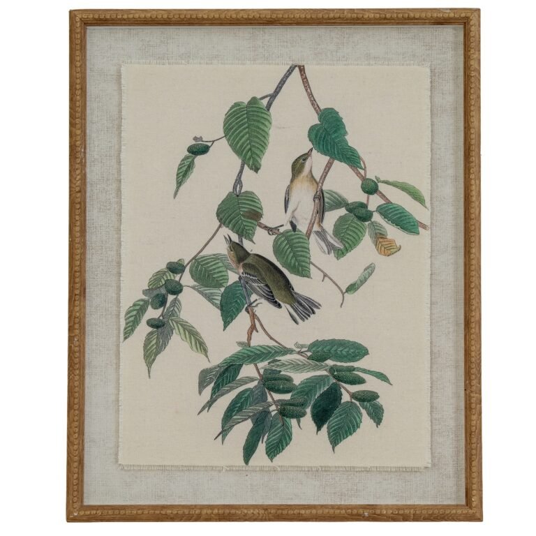 warblers framed bird wall art