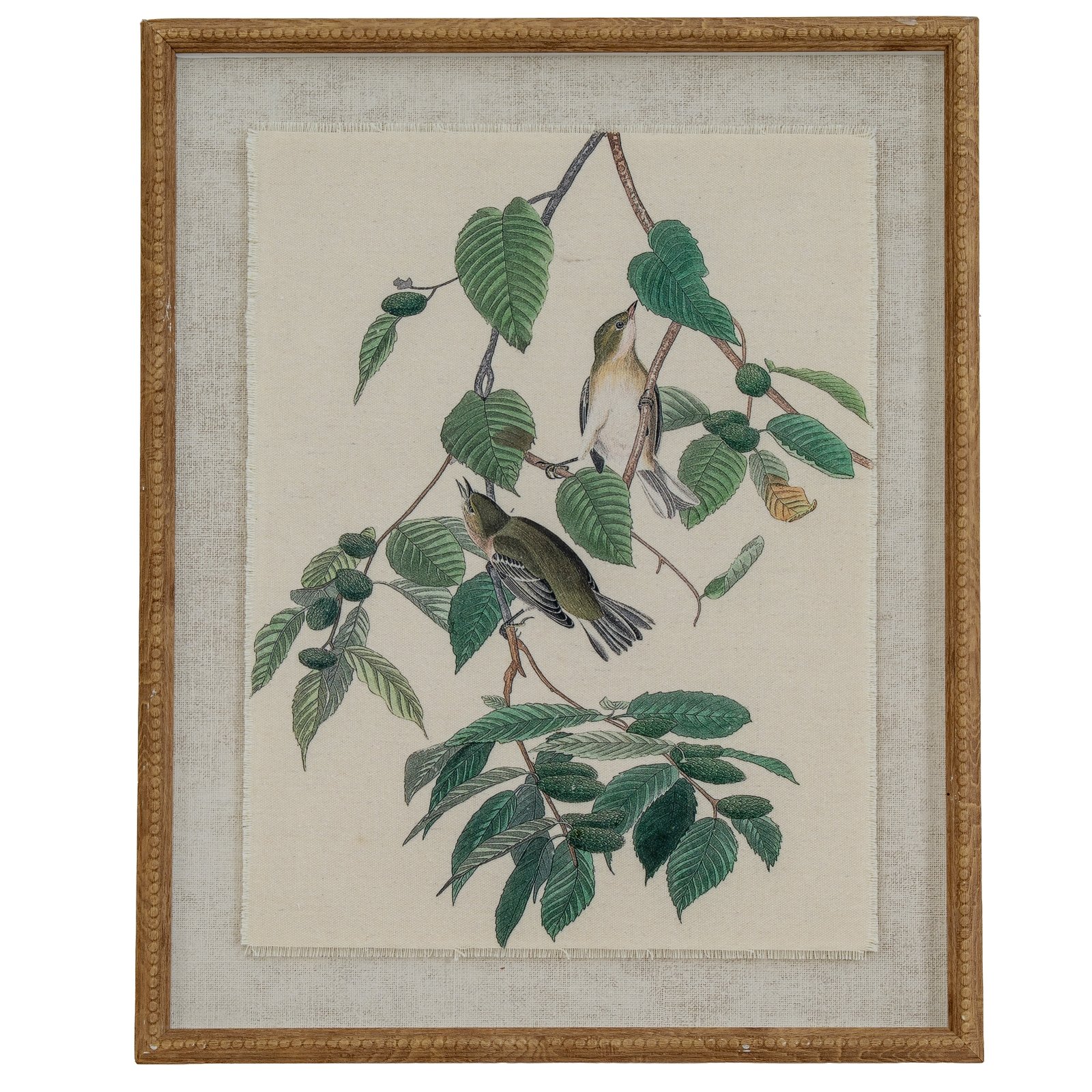 warblers framed bird wall art