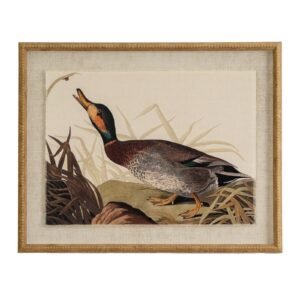 framed duck picture