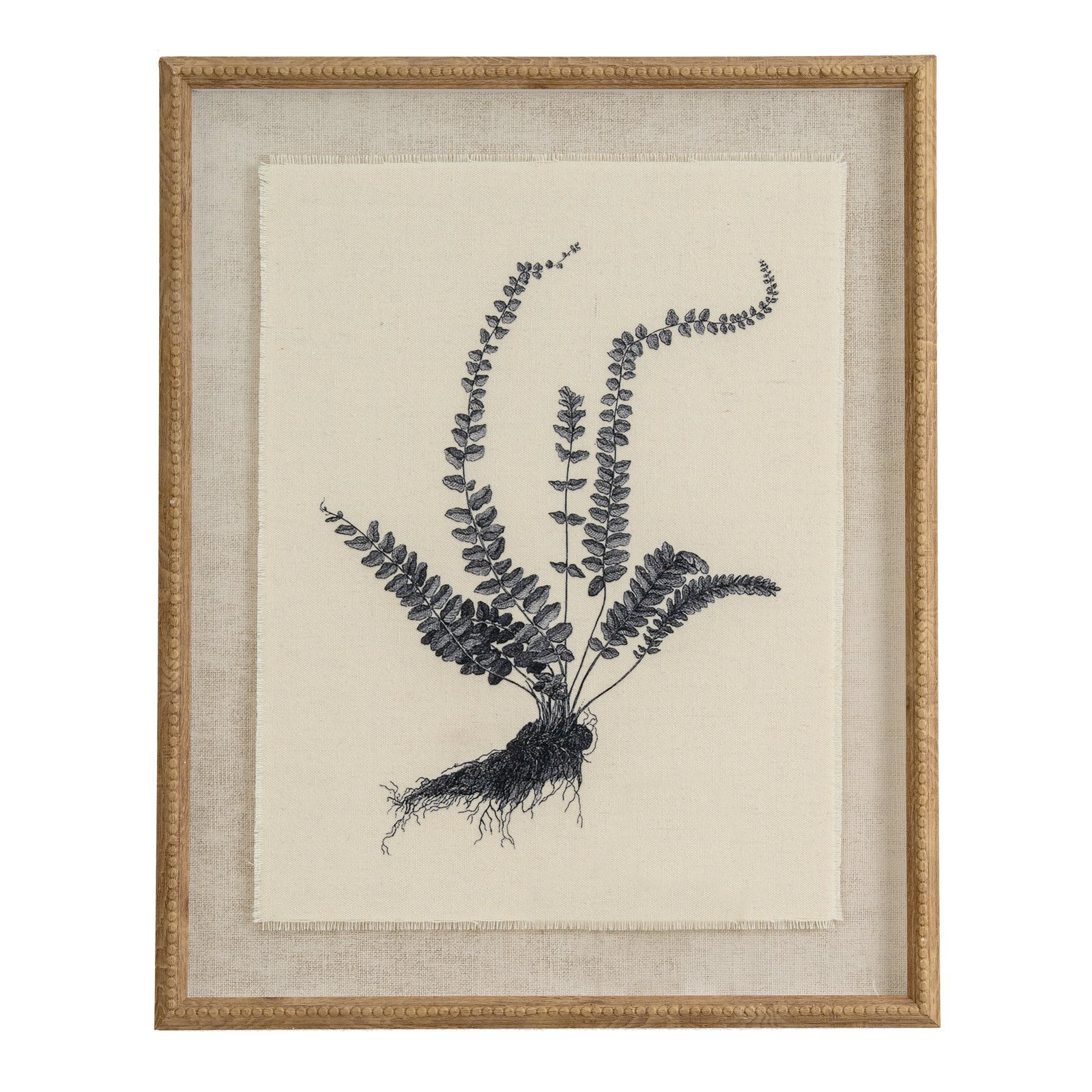 spleenwort botanical linen wall art