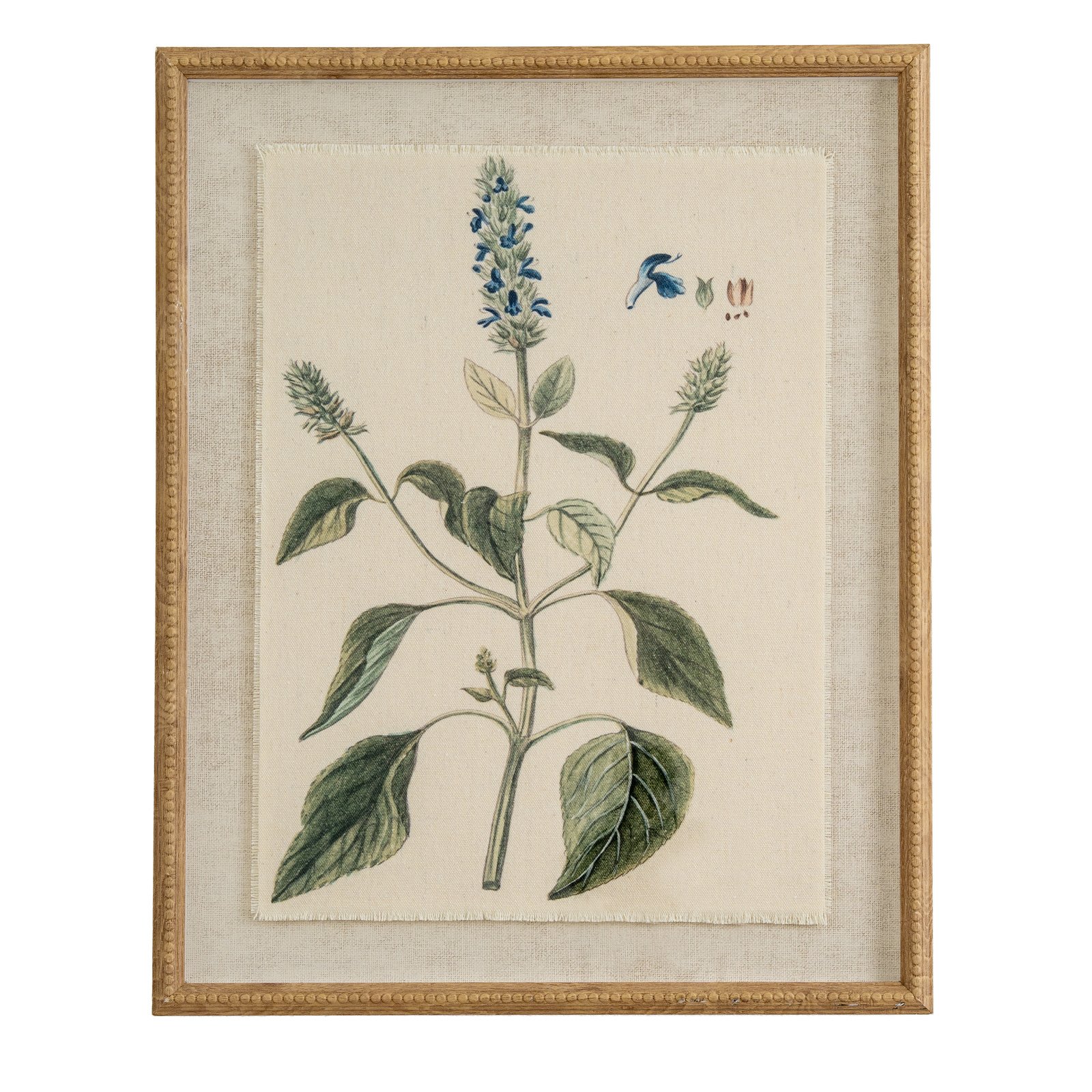 salvia botanical linen wall art