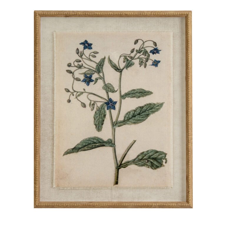 borage botanical linen wall art
