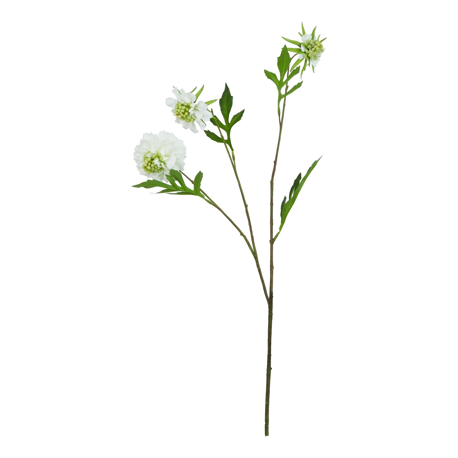 Artificial White Scabious Stem - Image 3