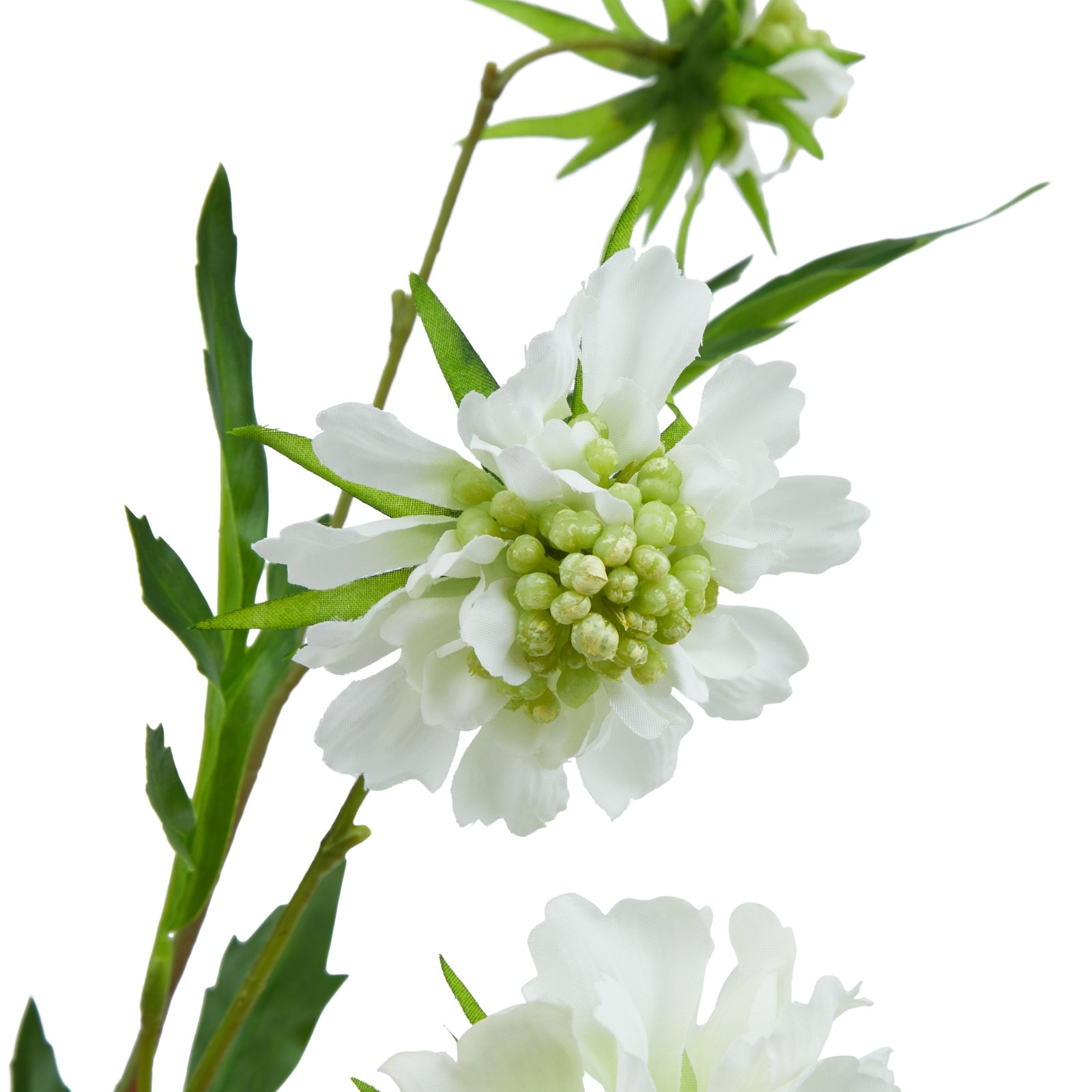 Artificial White Scabious Stem - Image 4