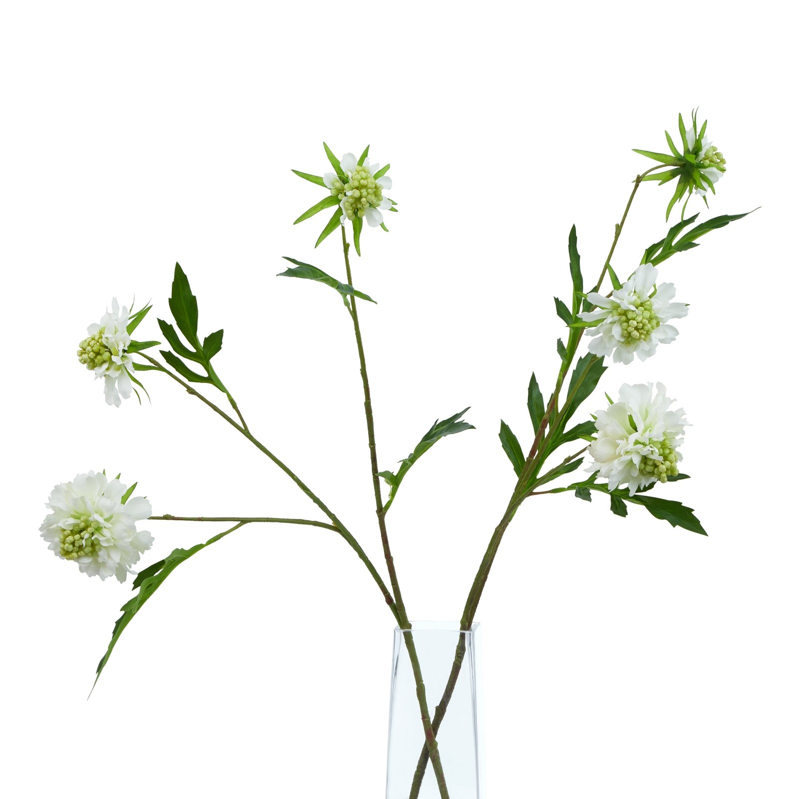 Artificial White Scabious Stem - Image 5