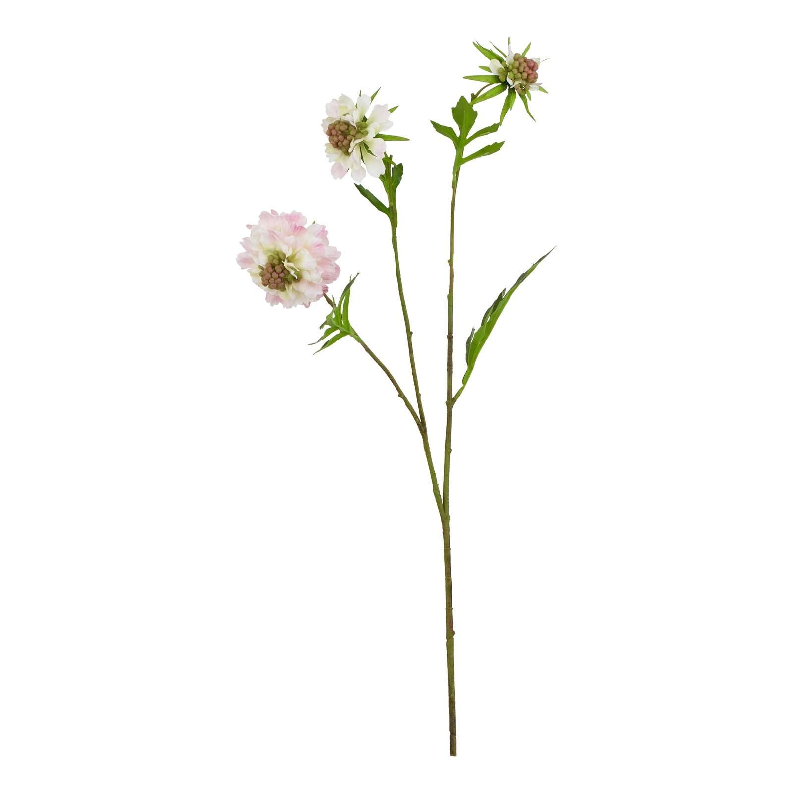 Artificial Pink Scabious Stem - Image 3