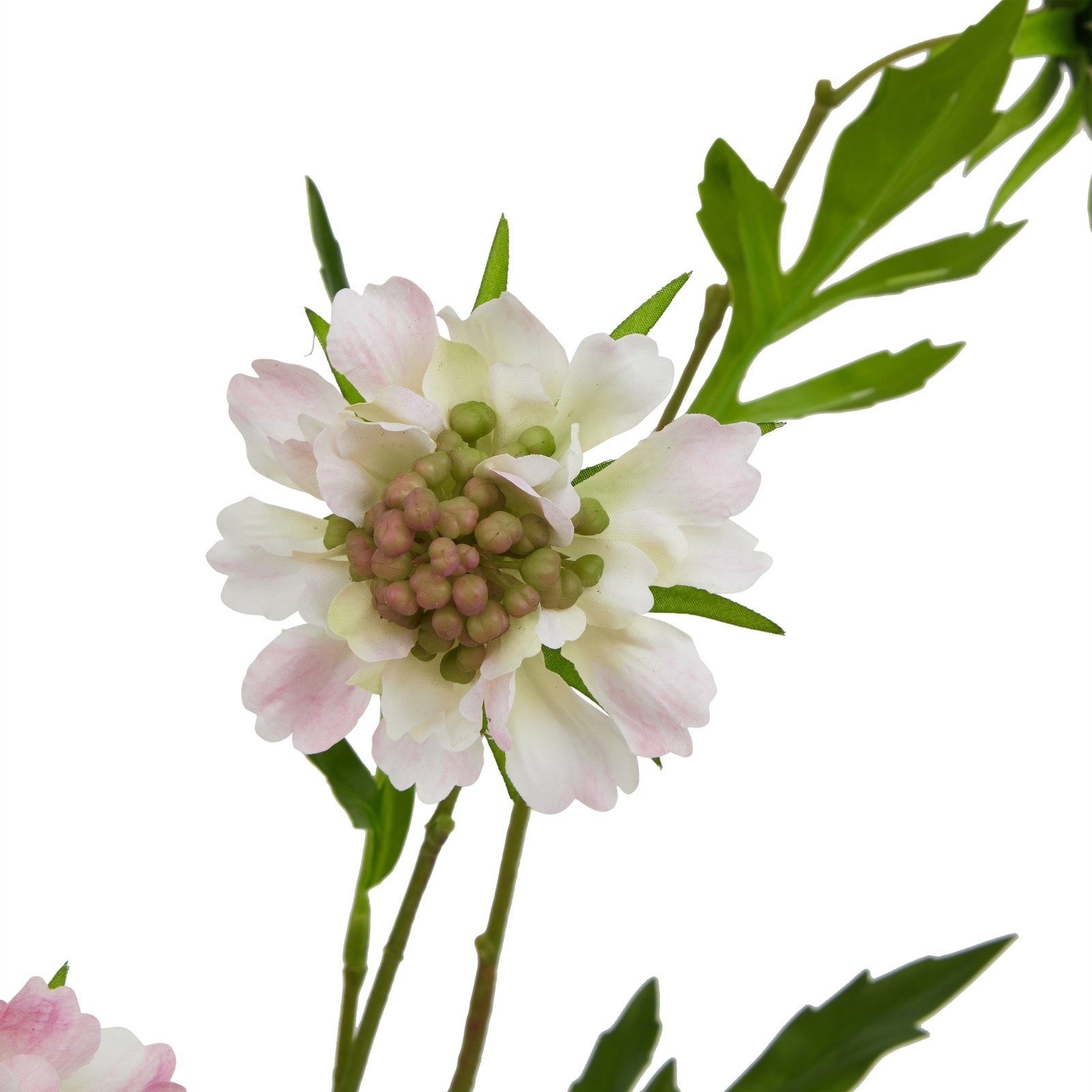 Artificial Pink Scabious Stem - Image 4