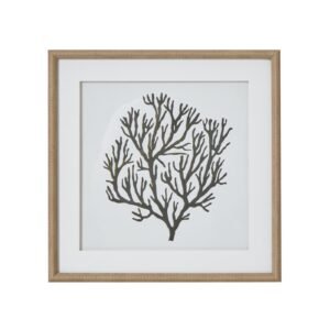 natural coral framed coral wall art product image