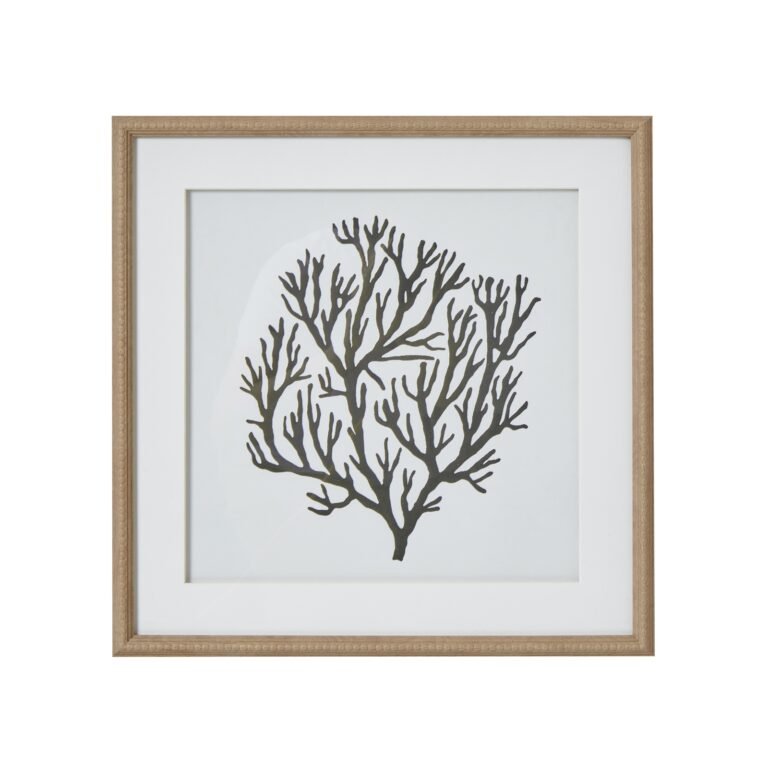 natural coral framed coral wall art product image