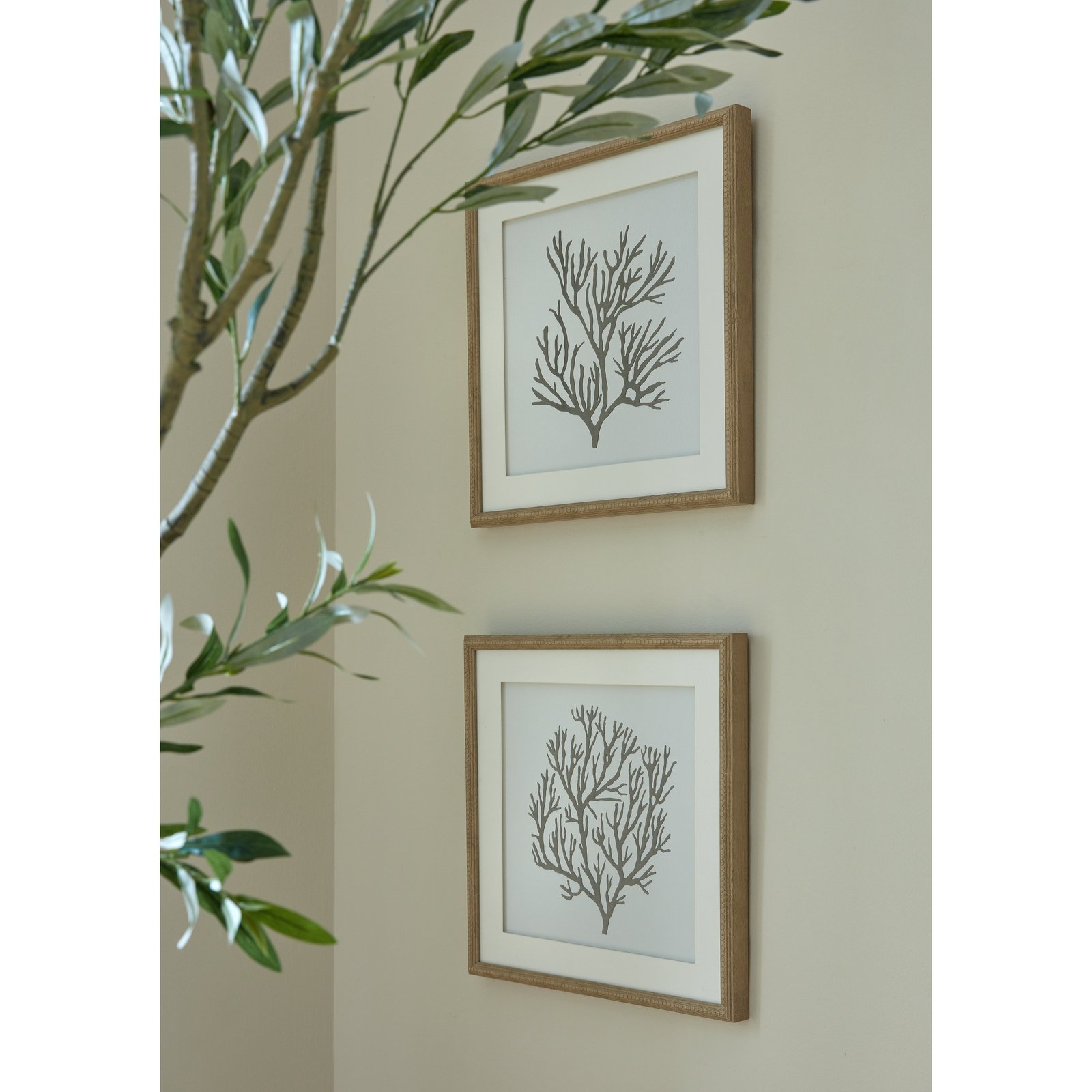 Coral Framed Coral Wall Art - Image 5