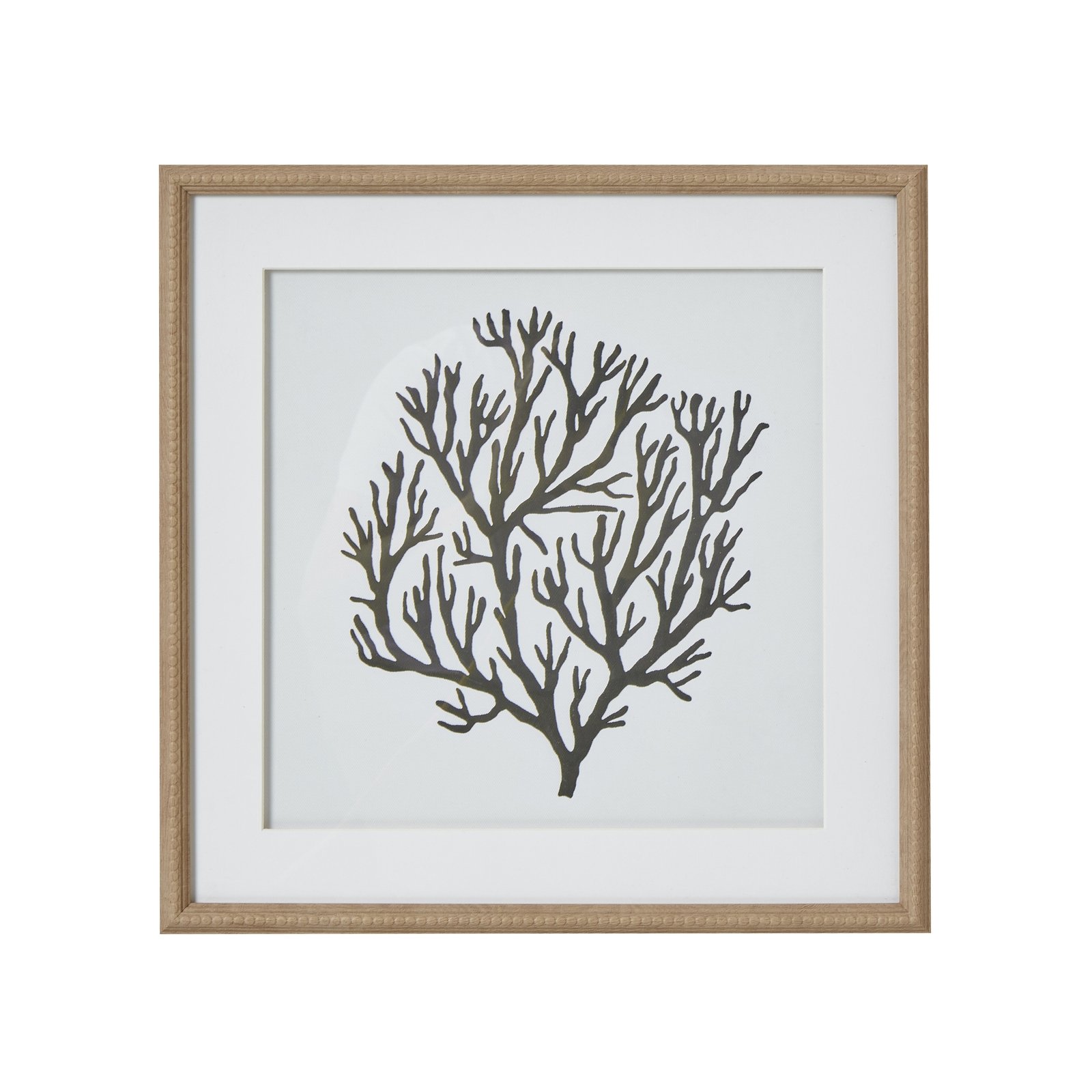 natural coral framed coral wall art product image