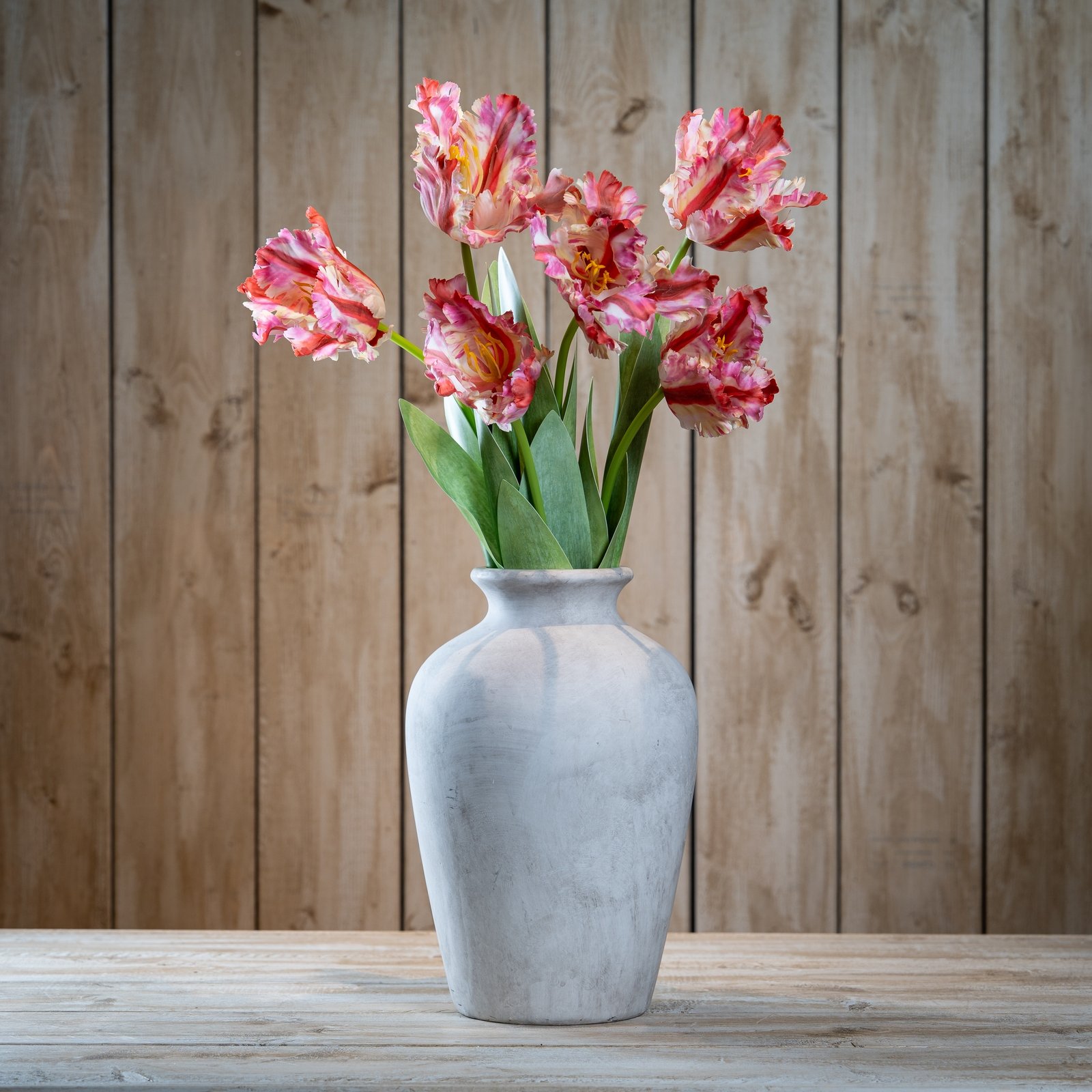 Multi Pink Parrot Tulip - Image 2