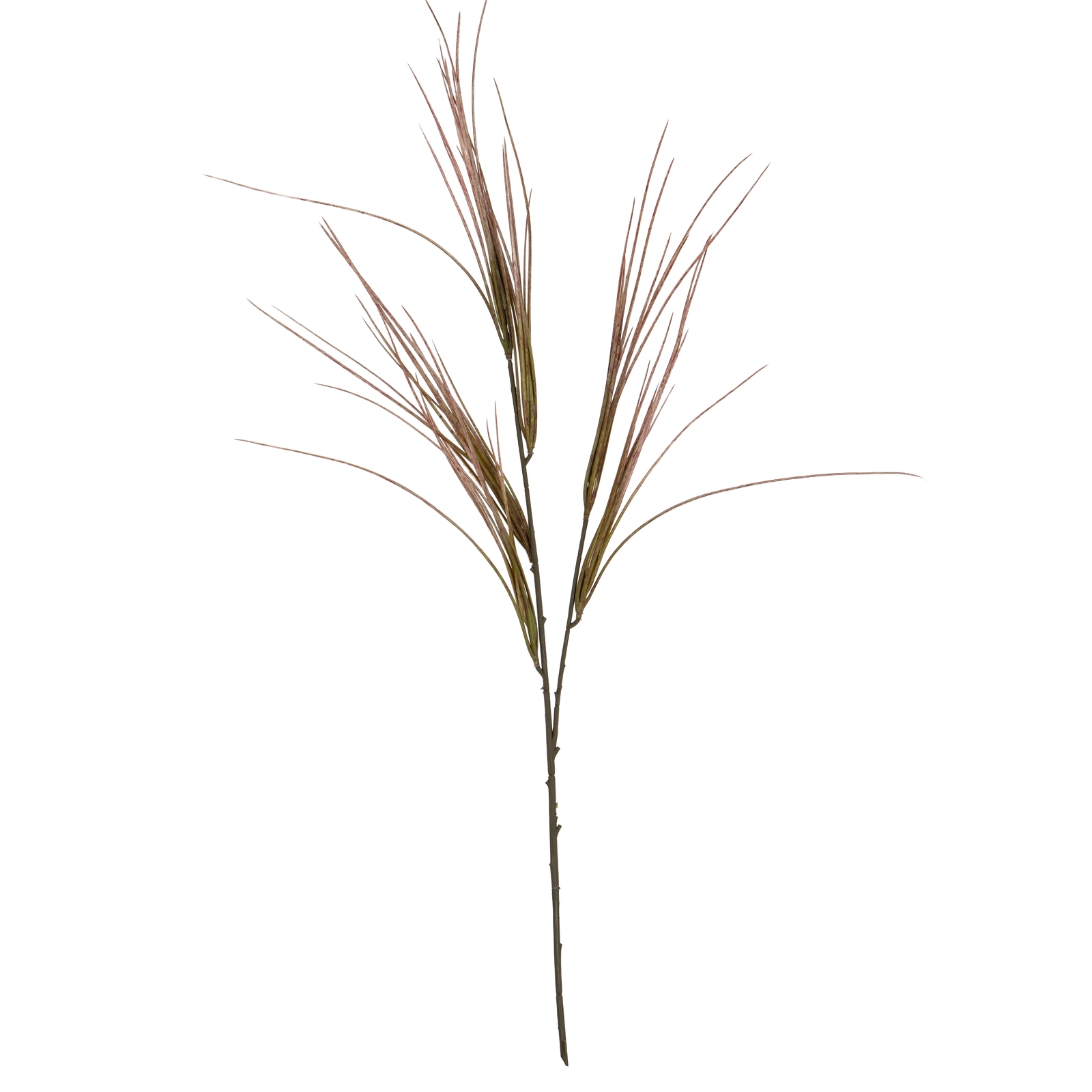 Brome Grass Spray - Image 2