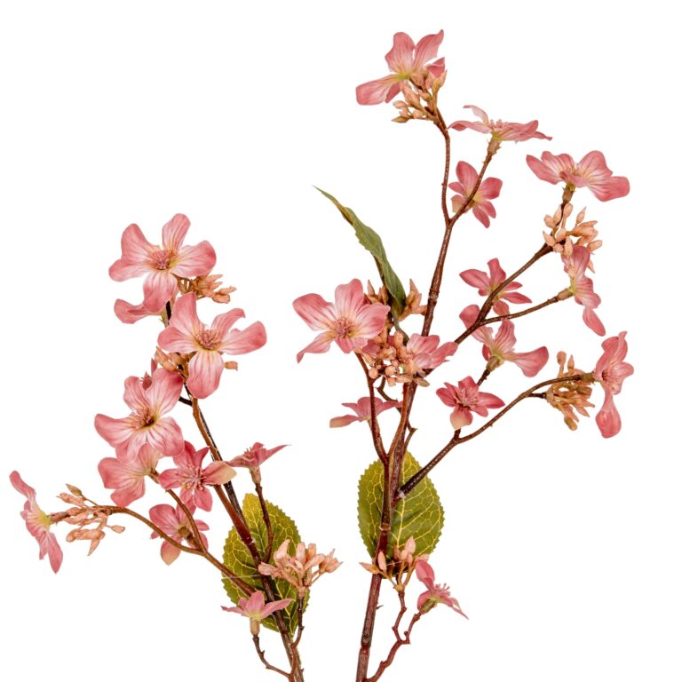 pink pink vernicia fordii spray product image