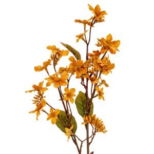 yellow yellow vernicia fordii spray product image