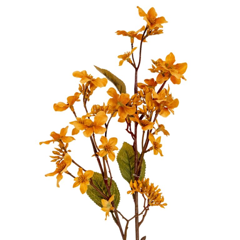 yellow yellow vernicia fordii spray product image