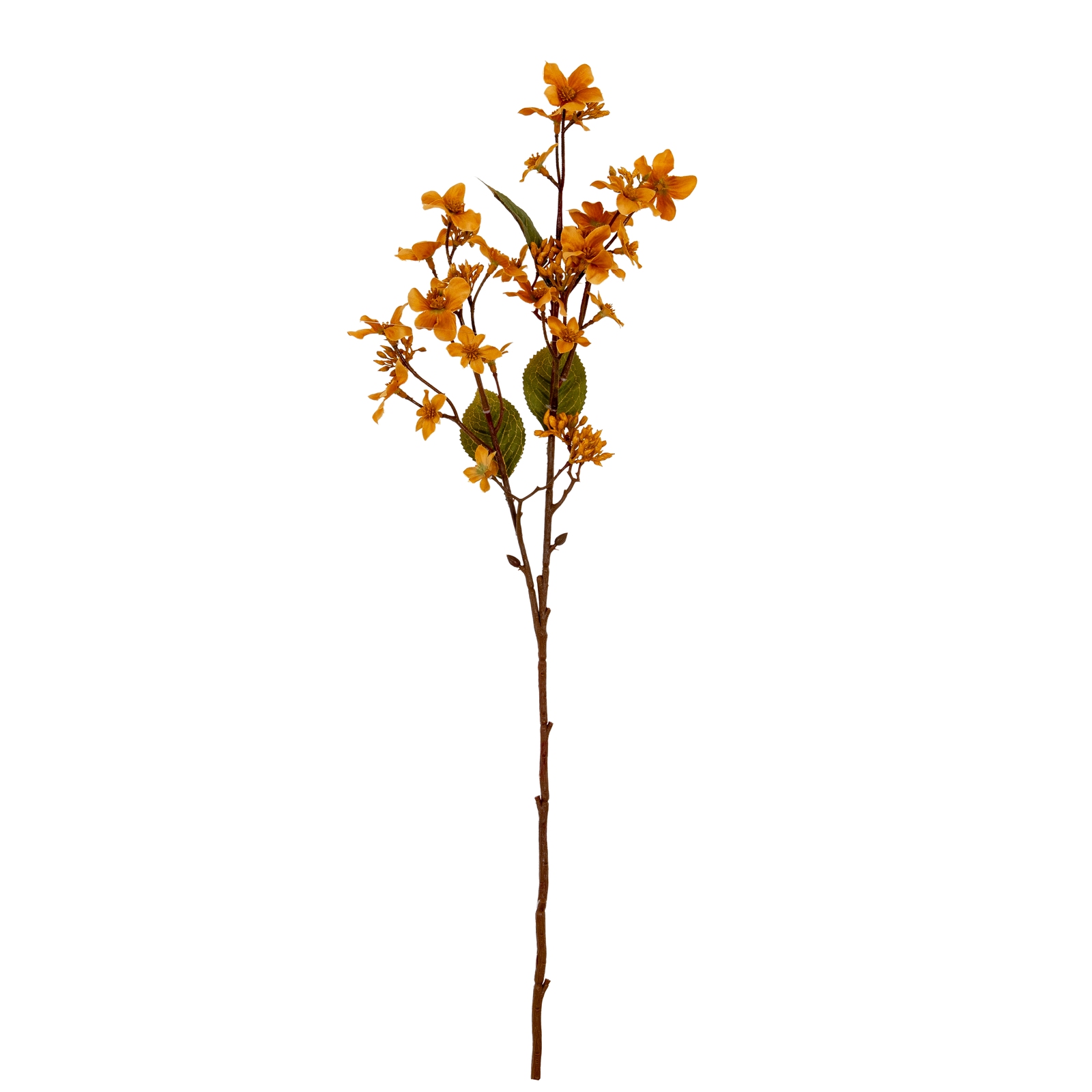 Yellow Vernicia Fordii Spray - Image 2