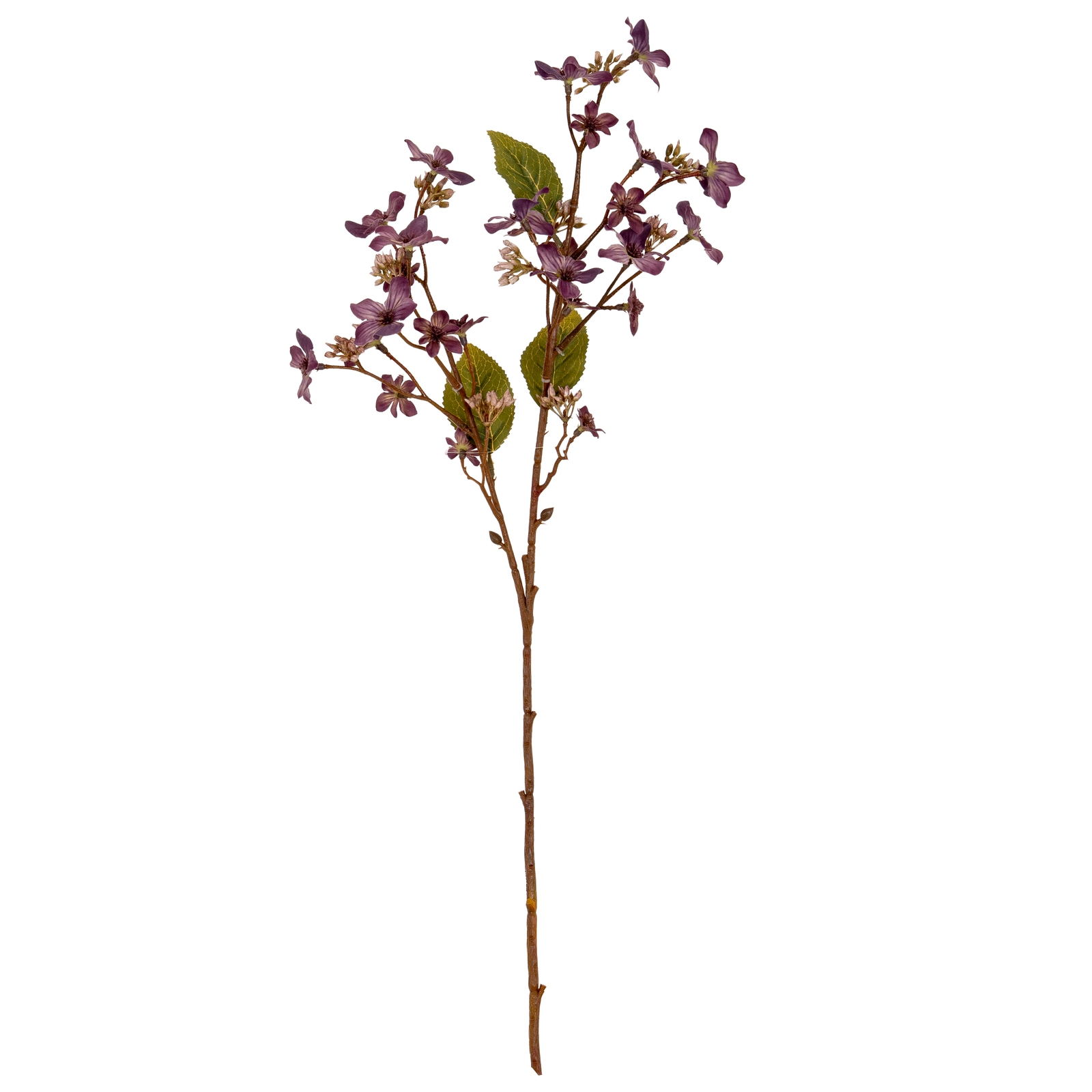 Purple Vernicia Fordii Spray - Image 2