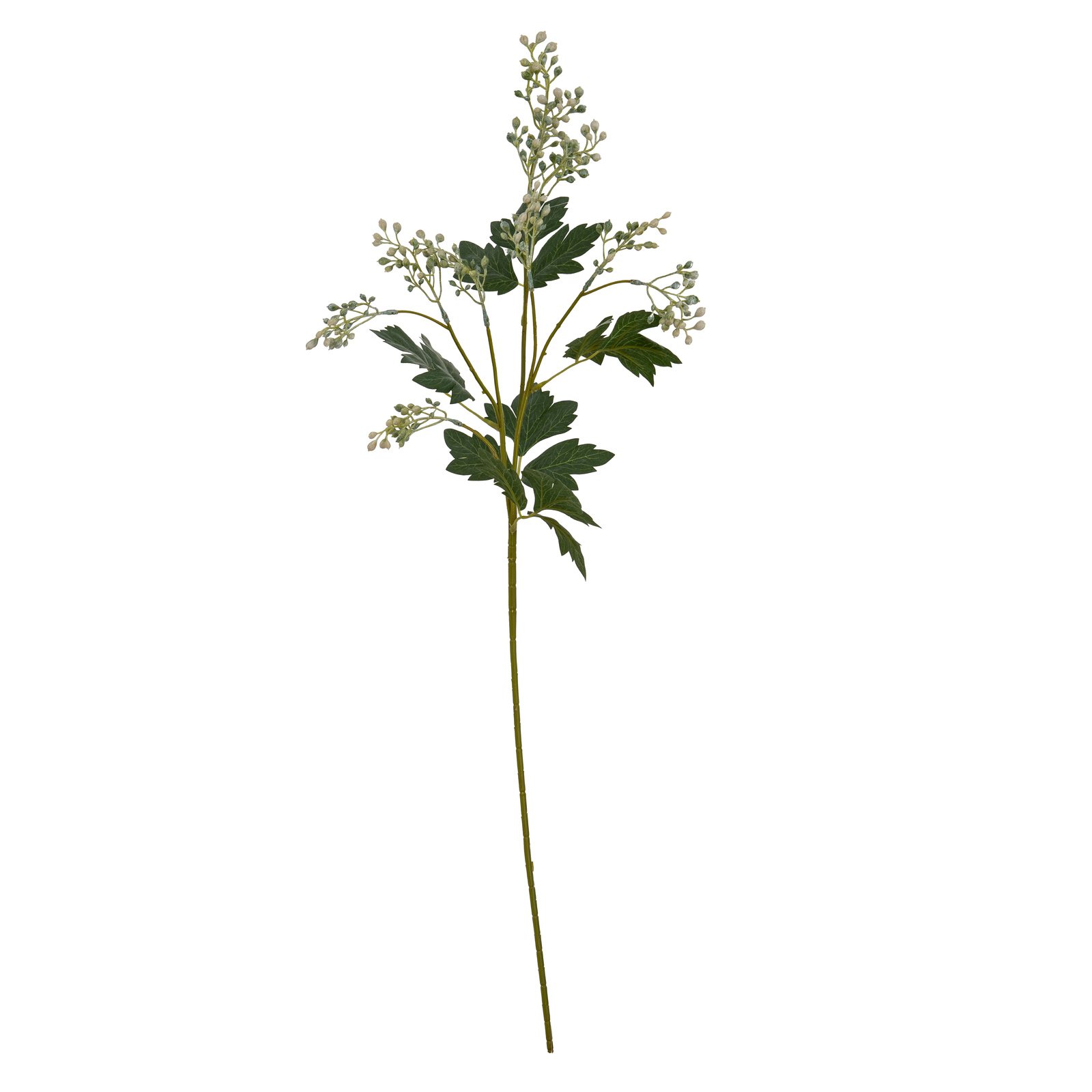 Milk Thistle Bud Spray - Image 5