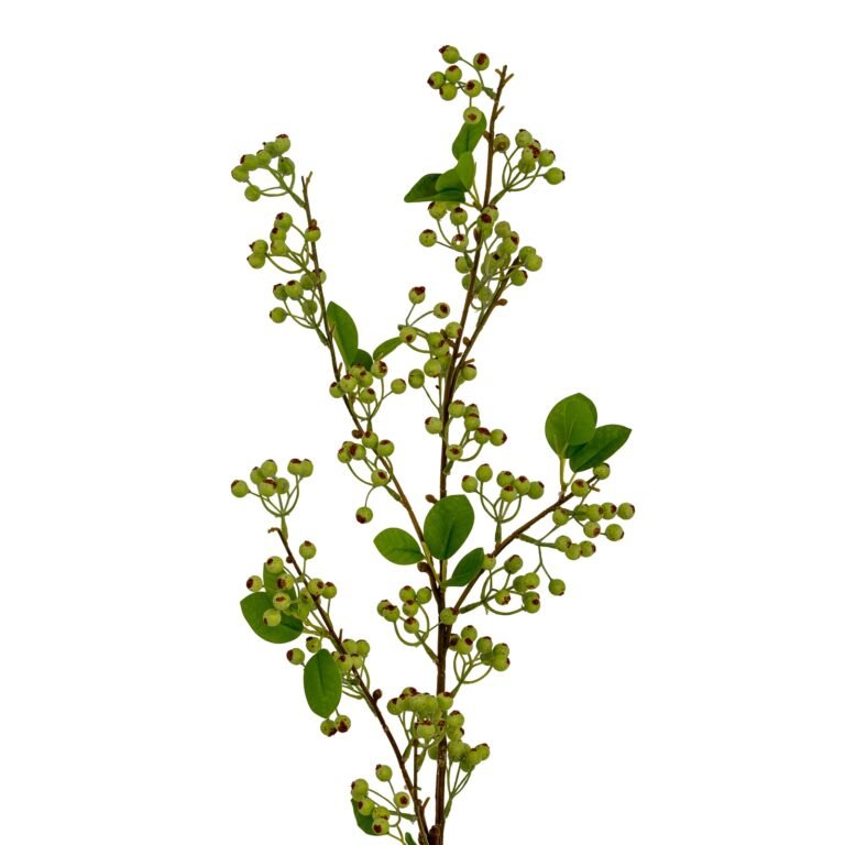 Large Green Mossberry Branch