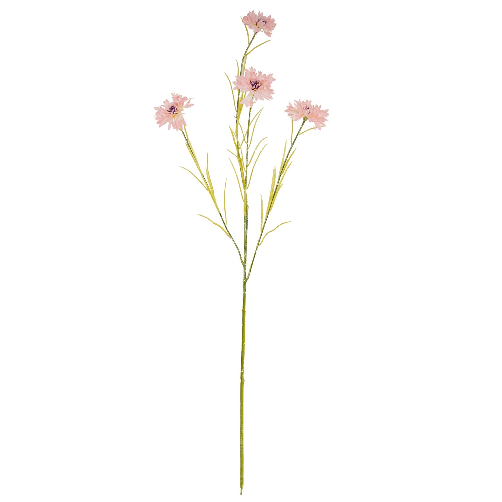 Pink Cornflower Stem - Image 2