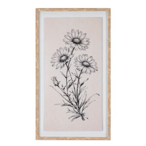 Framed Daisy Botanical Print