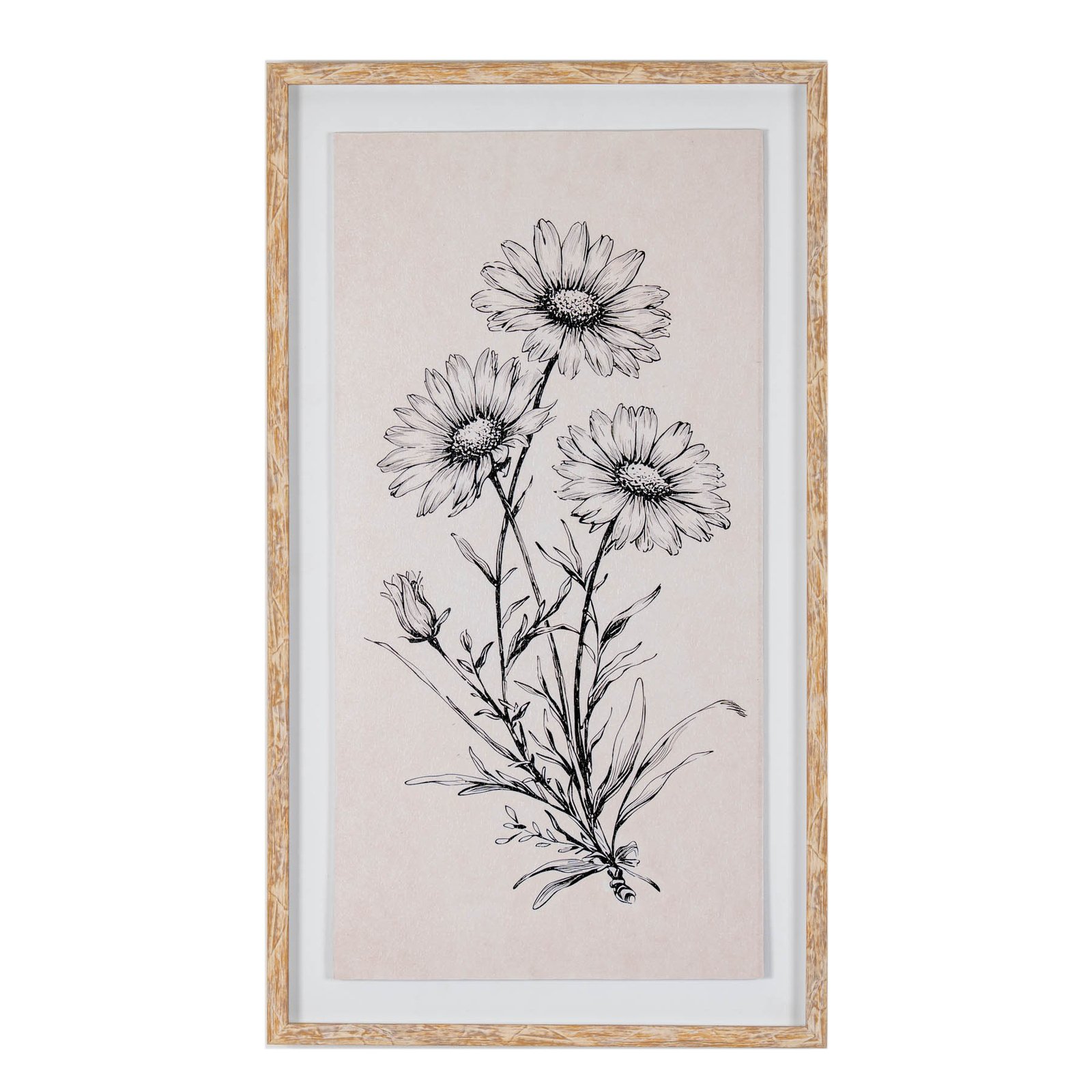 Framed Daisy Botanical Print