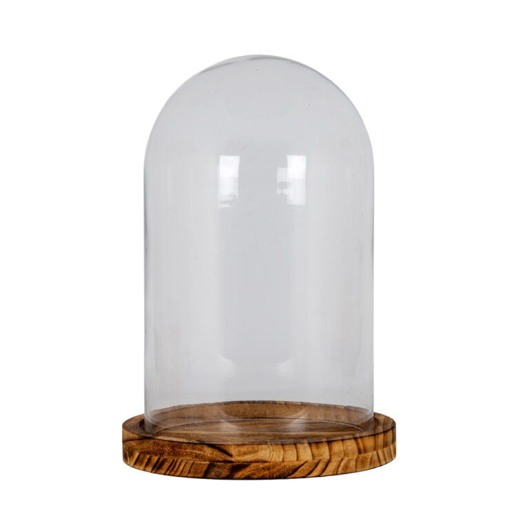 Large Glass Cloche with Wooden Display Tray